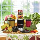 Texet 600 Watt Blender/Mixer System